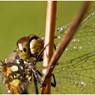 web_0026