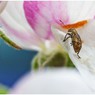 web_0031