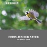 web_0033