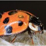 web_0034
