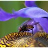 web_0035