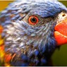 web_0037